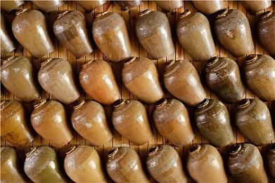 回顾PSV历史的非官方书籍计划获2万英镑众筹支持